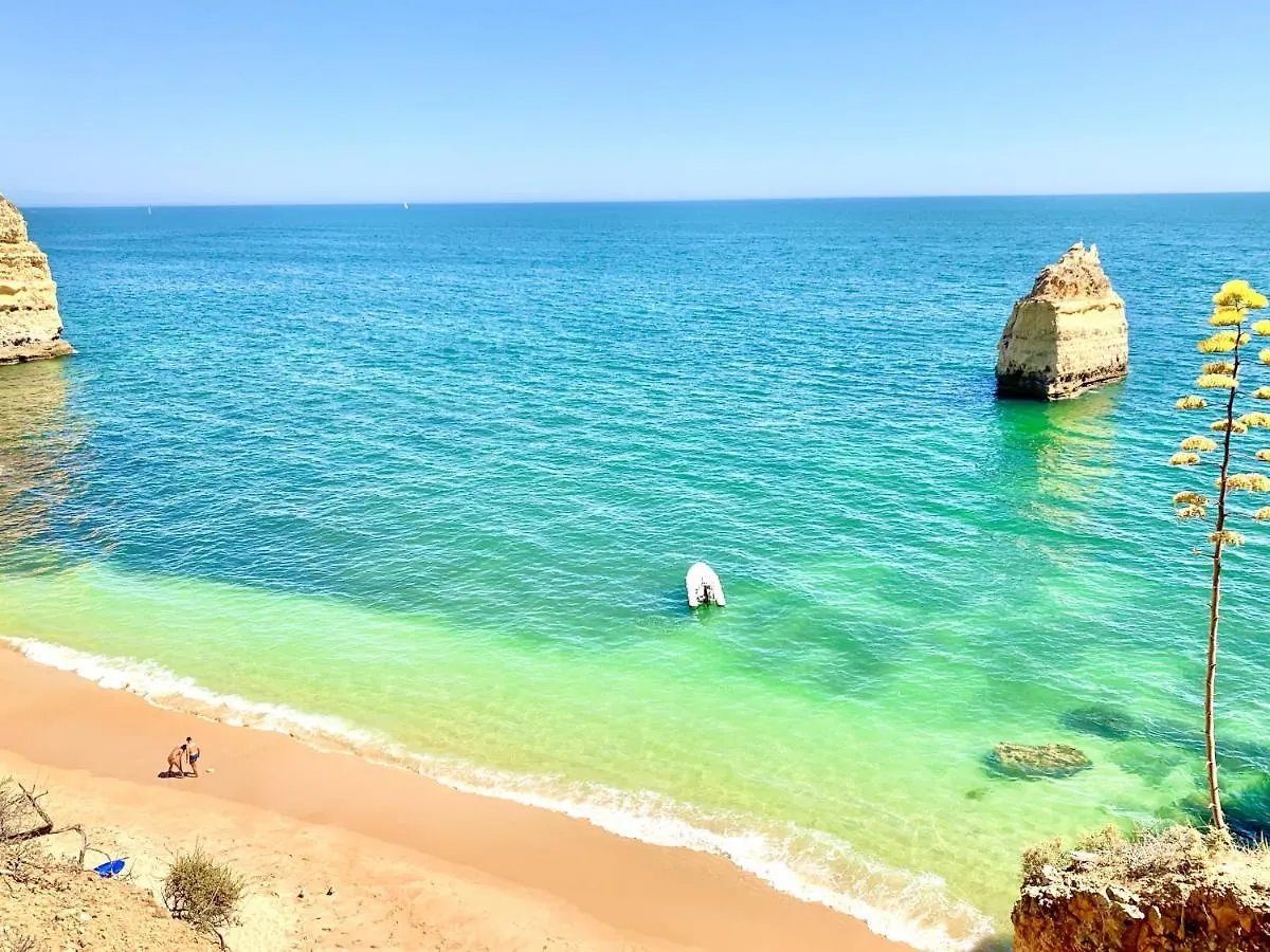 Apartment Les 3 Dauphins In Albufeira